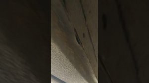 Заклёпки. Замена порогов. . 4 года спустя.