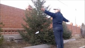 Рунический компас Вегнизир или Как с ориентироваться на местности без компаса