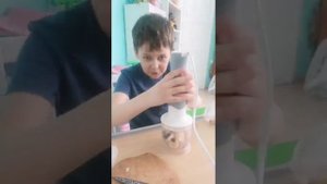 Фруктовый лед