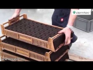 Пресс для грунта - торфяных кубиков, линия высева рассады