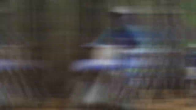 The Newest Motorcycles in the World. смотреть онлайн