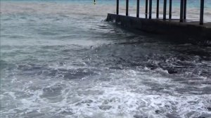 Набережная Море Погода + 14 в Ялте .Ялта В конце декабря.