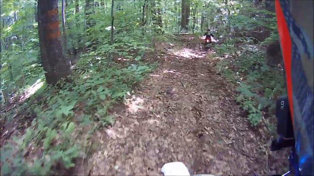 Long Arm Road to the Secret Rhododendron Tunnel Dual Sporting in Maggie Valley смотреть онлайн