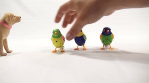 Twinkle's Trio DigiBirds Singing Birds, They Sing In A Choir!