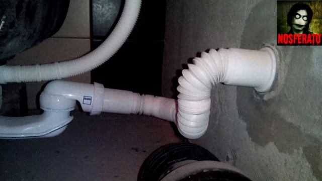 Истории на ночь - Гнилое фото смотреть онлайн