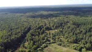 Урочище Бибиково и старая уршельская ЛЭП