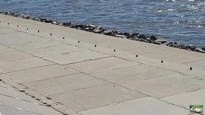 Индустриальный район Хабаровска Новостройки Арена "Ерофей" Набережная