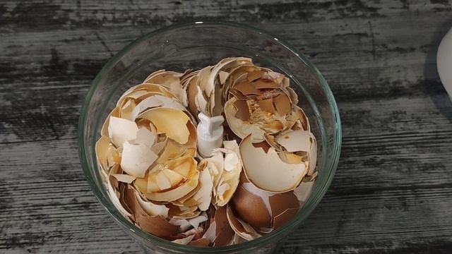 Крепкая, коренастая рассада томатов, что я для этого делаю. Органическая подкормка своими руками.