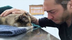 Мужчина прощается со своей умирающей кошкой с которой он прожил 13 лет