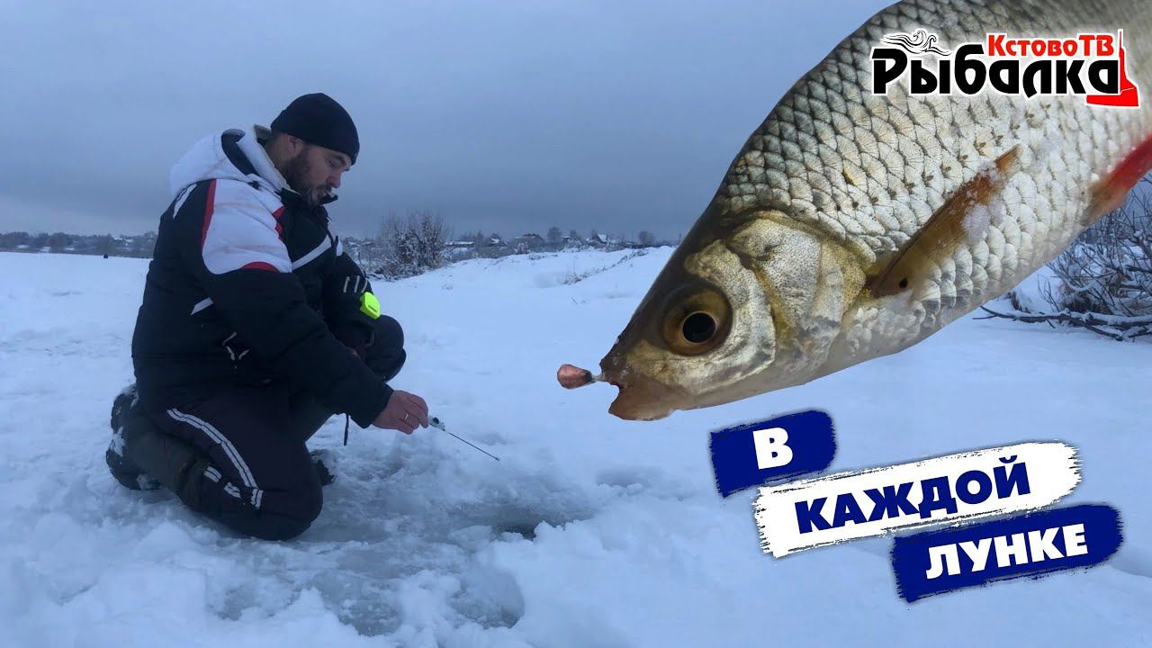 В КАЖДОЙ ЛУНКЕ.Ловля плотвы,красноперки и другой рыбы на озере.