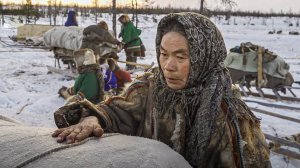 Ненцы, энцы, нганасаны, селькупы. Языки кочевников. История. Жизнь. Культура. Быт | Факты
