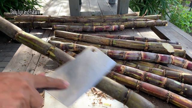 How To Make Sugarcane Juice at Home | Natural Juice Making by Daily Life and Nature