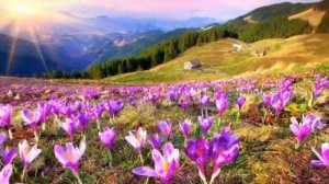 Итоги первого этапа Вознесения – его первой волны.