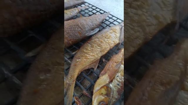 Рецепт приготовления горячее копчение рыба и свинина к празднику. смотреть онлайн