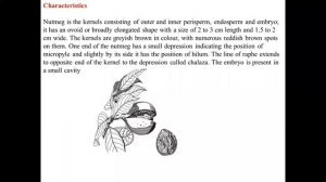 Pharmacognosy Carminative and GIT Regulators Part IV