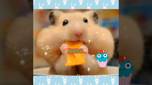 Какое ты животное по знаку зодиака смотреть онлайн