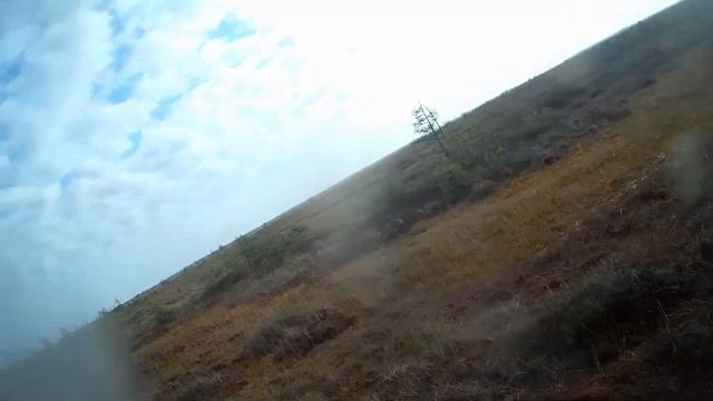 №9. Вездеход трофи 2019
