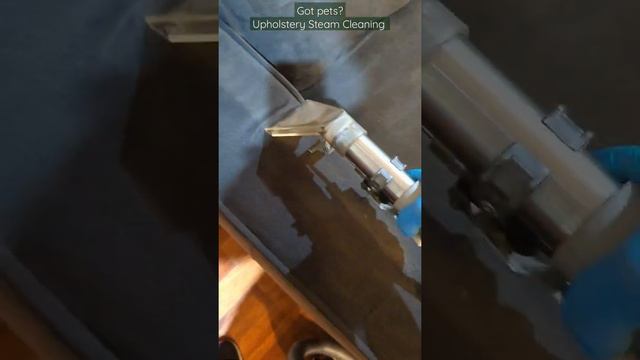 Sofa - Ottoman Steam Cleaning