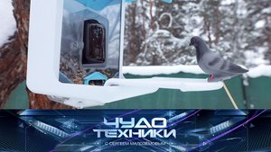 Тест умной кормушки, устройства для домашних десертов и мембранная детская одежда | «Чудо техники»