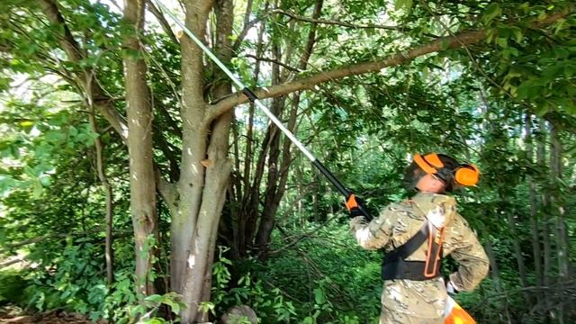 Высоторез STIHL HT 133 и HTA 85. Бензо или акку? Обзор, сравнение, работа! смотреть онлайн