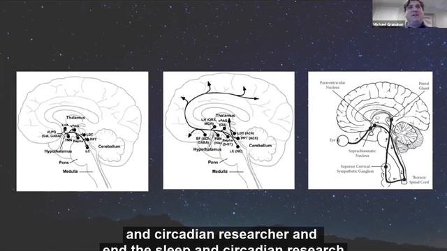 Sleep, Race, and Health Disparities with Dr. Michael Grandner смотреть онлайн