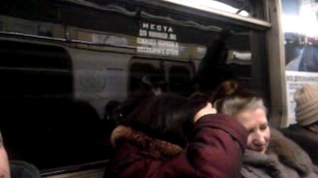 Перегон Марксистская - Площадь Ильича