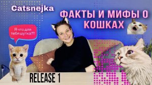 Миф Vs Факт? Развеиваем все мифы о кошках , ?release 1