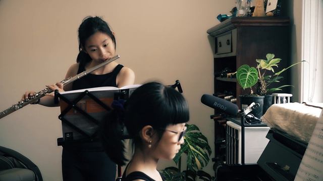 Gaetano Donizetti _ Sonata for Flute and Piano смотреть онлайн