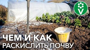 3 ПРАВИЛА РАСКИСЛЕНИЯ ПОЧВЫ ВЕСНОЙ. Используем известковые удобрения с умом