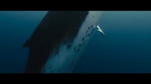 Дживан Гаспарян (дудук) и Питер Гэбриэл. Композиция « Перекрёсток »