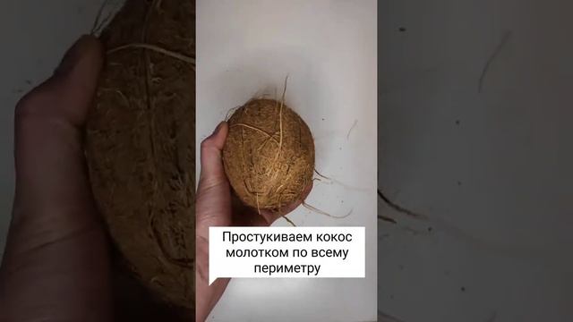 Лайфхак как открыть кокос