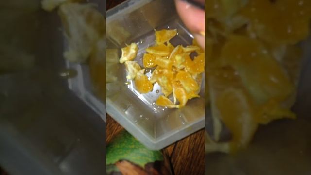 Апельсиновое желе ? летний десерт