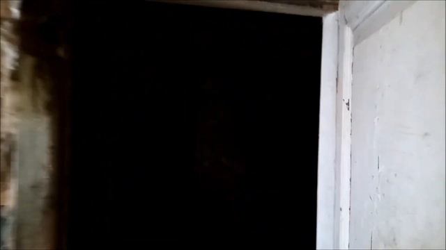 Шурф и чердачный поиск по заброшкам.