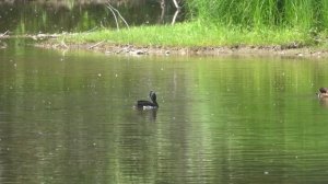 СИБИРЬ часть I (Западный Саян, Байкал)