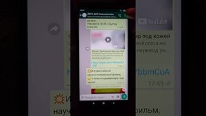 Как быстро найти фото в WhatsApp и почистить память