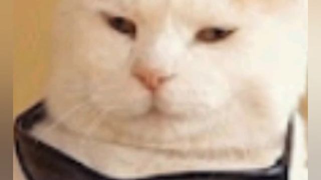 когда появился новый мем смотреть онлайн