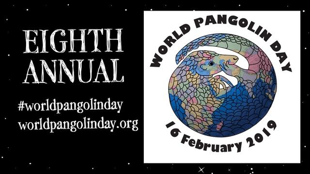 What is a Pangolin & why are they going extinct? смотреть онлайн
