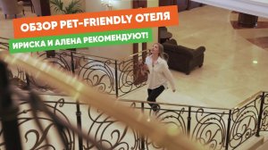 Обзор pet-friendly отеля Мистраль — стоит ли ехать туда с питомцем?