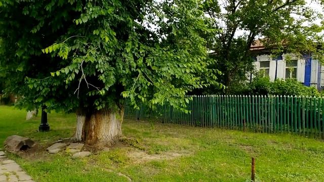 #Старочеркасская - отличное место для семейного отдыха