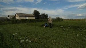 Косилка "Заря" с делителем.