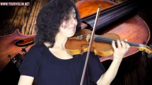 Joseph Haydn 🎻  Serenade 🎻 Violin