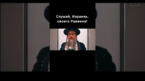 Слушай, Израиль, своего Раввина! Раввин Давид Фельдман в поиске Истины