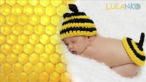 Белый шум - шум пчел