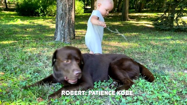 Robert and Kobe's Park Adventure: Unbelievable Discoveries! смотреть онлайн