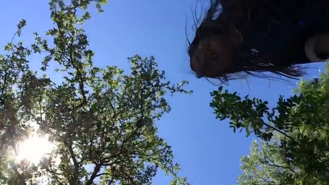 Trampoline madness ?? смотреть онлайн