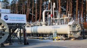 Германия возобновила страхование газопровода Северный поток