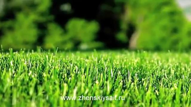 Сажаем газон ПРАВИЛЬНО! Как выростить ярко зеленый газон?
