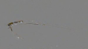 Сборка парусника Halcon 1840. Часть 2 (Установка палубы, планширей и фальшбортов)