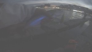 4 ОКТЯБРЯ каждый год ловлю луфаря  РЕКОРДНИЙ ЛУФАРЬ