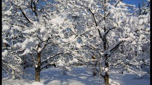 Скажи мне нежные слова